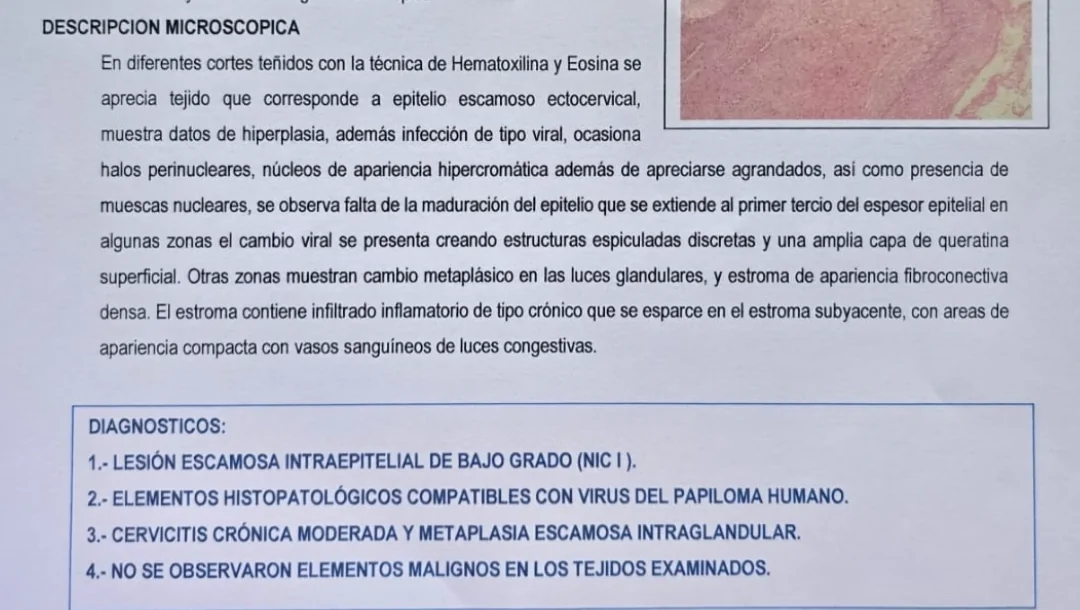 Necesito ayuda a tiempo – GoFundMe Fundraiser gofundme Donation Help