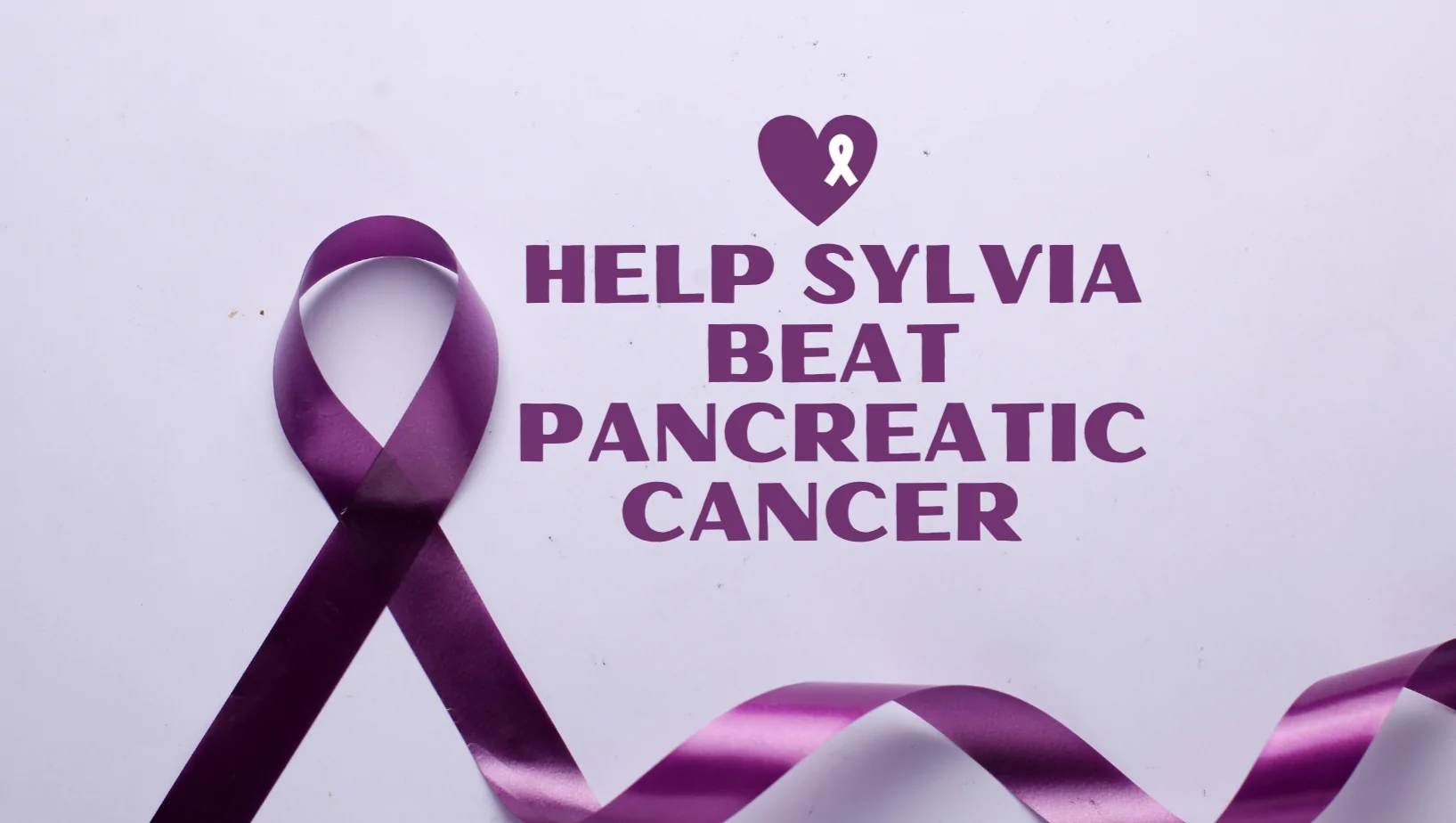 Donate to help Sylvia Beat Pancreatic Cancer – GoFundMe Fundraiser gofundme Donation Help