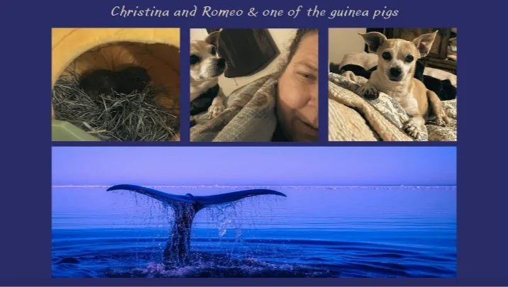 Let’s get Christina and Romeo back on her wheels – GoFundMe Fundraiser gofundme Donation Help