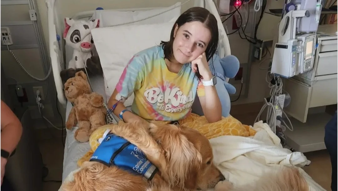 Support Paige’s Fight Against Leukemia – GoFundMe Fundraiser gofundme Donation Help