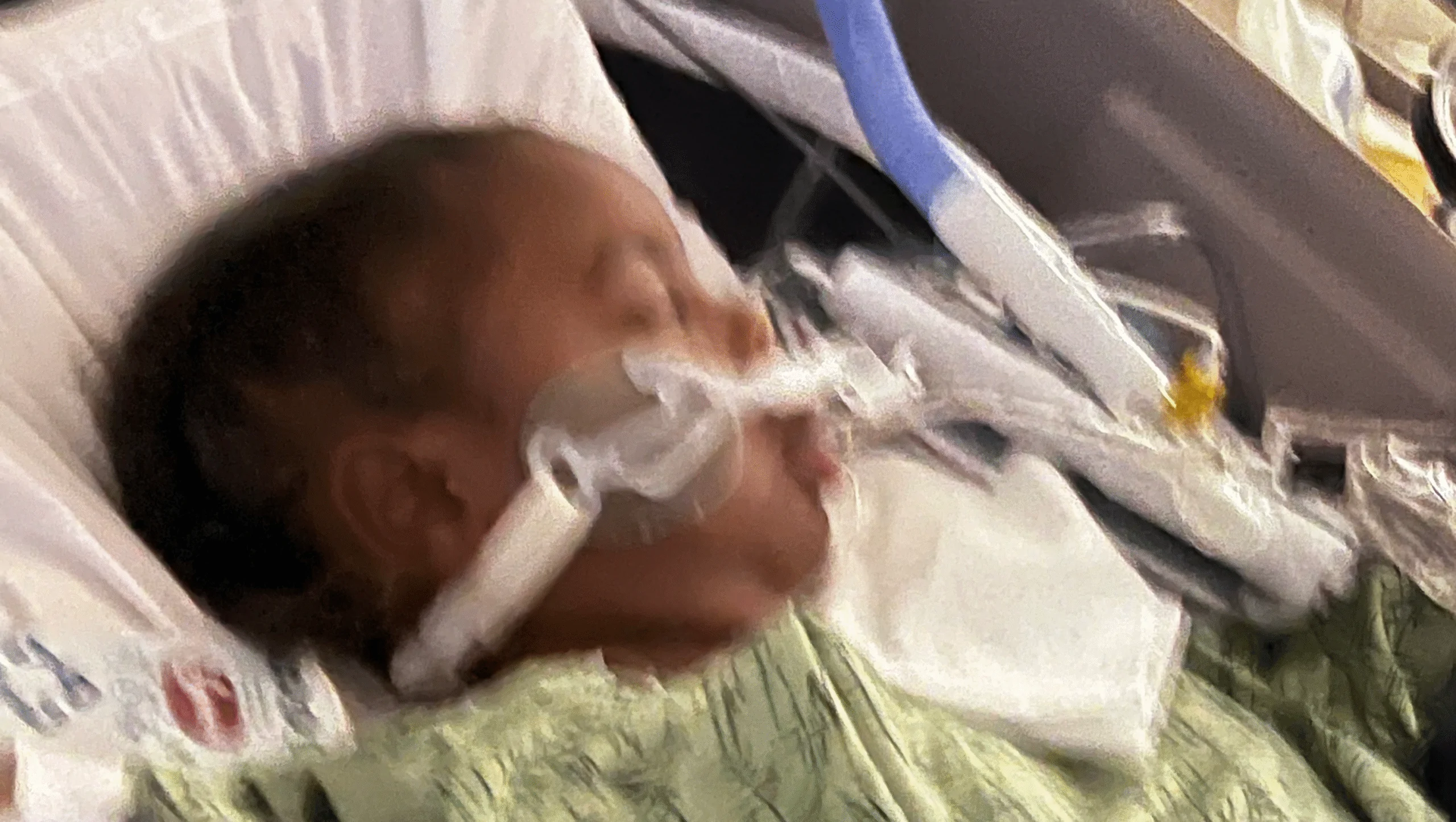 Help Lyric Heal and Return Home – GoFundMe Fundraiser gofundme Donation Help